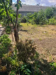 Продається будинок Молоджіна вул., 10, Олександрівка, Лиманський, Одеська фото 16 Продається будинок Молоджіна вул., 10, Олександрівка, Лиманський, Одеська фото 16