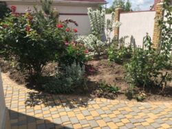 ������� ��� ���� � ������� ���������� ������� ������� ���� 18