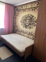 3-ох кімнатий будинок з підвалом, горищем та власним садом фото 11 3-ох кімнатий будинок з підвалом, горищем та власним садом фото 11