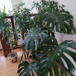 ������ ��������� ������� �/ � ������ ���� 5