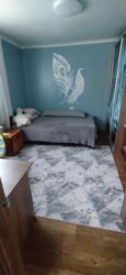 Пропонується будинок-дача 52 кв.м. з ремонтом СТ Кошари. фото 35 Пропонується будинок-дача 52 кв.м. з ремонтом СТ Кошари. фото 35