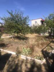 ������ �������� ��������� ���� 6