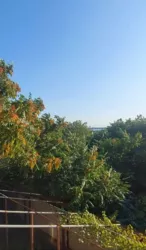 2-�� ���������� ������� � ����� ����������� ���������� � �. ��������! ���� 30