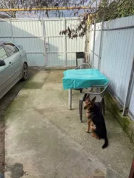 ������ �������� �������. ����������. ���� 21