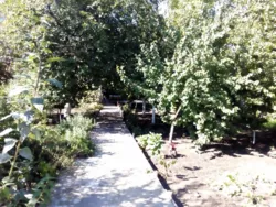 �����, ����� �������� 3. ������ ����� ������ ��� �������� �������! ���� 20