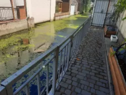 Продається будинок участок, Маяки, Біляївський, Одеська фото 4 Продається будинок участок, Маяки, Біляївський, Одеська фото 4