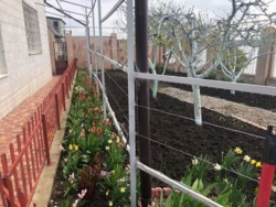 Продажа будинка. фото 6 Продажа будинка. фото 6