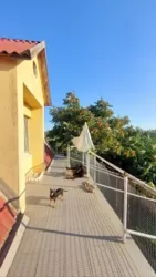 2-�� ���������� ������� � ����� ����������� ���������� � �. ��������! ���� 17