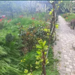 ������� � ������������� � ����������! �������� �� �����! ���� 4