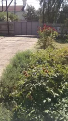 ��������� �� ������� ������� ���.�������� �.����� ���� 15