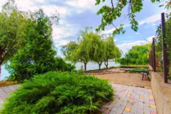 ��� ����� �������� ������� � �������� �� ������ ����� ������ � �. ��������! ���� 40