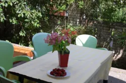 ��������� ������� �����������, �����, �������, �������� ���� 21