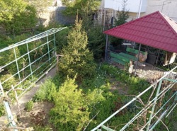 Продається будинок Світла вул., 18/17, Одеса, Одеська, Київський, Царське село фото 14 Продається будинок Світла вул., 18/17, Одеса, Одеська, Київський, Царське село фото 14