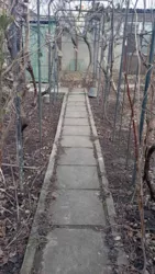 2 ������� �� ������ ���� 33