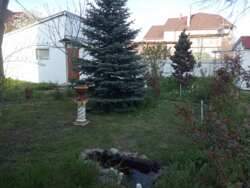 ��������� ������� ������ 3-� ���., ��������, ����������, ������� ���� 8