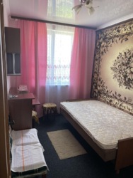 3-ох кімнатий будинок з підвалом, горищем та власним садом фото 17 3-ох кімнатий будинок з підвалом, горищем та власним садом фото 17