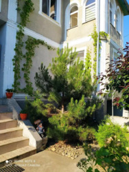 ������ ��������� ������� �/ � ������ ���� 2