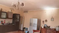 ��������� ������� ���������� 1-� ����., �����, �������, ��������, ������ ���� 20