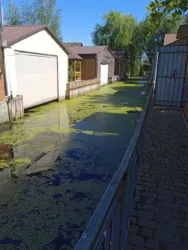 Продається будинок участок, Маяки, Біляївський, Одеська фото 27 Продається будинок участок, Маяки, Біляївський, Одеська фото 27