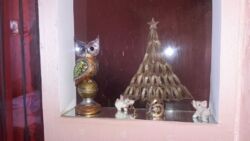 ��������� ������� � ��� �������� ���� 5