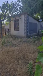 ������� 70 ��.�. �� ��������� ����� �����������. ���� 17