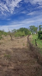 Пропонуємо до продажу будинок в селі Сичавка.Пропонуємо фото 12 Пропонуємо до продажу будинок в селі Сичавка.Пропонуємо фото 12