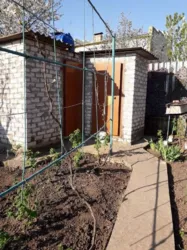 Пропонуємо до продажу дачу с.Протопопівка Біляївський р-н фото 7 Пропонуємо до продажу дачу с.Протопопівка Біляївський р-н фото 7