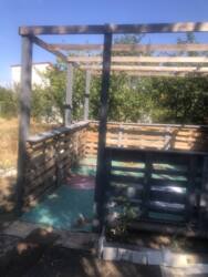 ������ �������� ��������� ���� 7