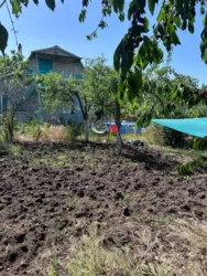 ��������� ������� ������� ���., 1175, �����, ����������, ������� ���� 12