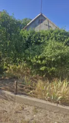 ������� 70 ��.�. �� ��������� ����� �����������. ���� 14