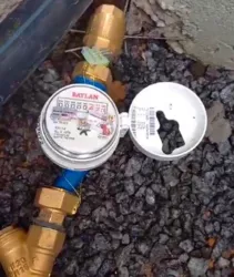 ����� ������� � �������� 1! ³����� ����! ���� 9