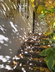 �������� ����.ֳ�� �� �� ������, ������ � ��������� ���� 5