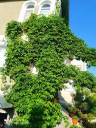 ������ ��������� ������� �/ � ������ ���� 4