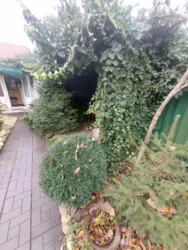 Продається будинок Керченська вул., Одеса, Одеська, Пересипський (Суворовський), Котовського фото 15 Продається будинок Керченська вул., Одеса, Одеська, Пересипський (Суворовський), Котовського фото 15