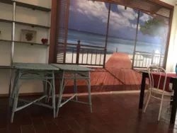 ��������� ������� �����������, �����, �������, �������� ���� 6