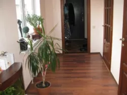 ������� ����������� � ��� ����� ����� ����, ����. �������� ����. ���� 2