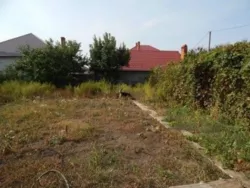 ����������, ������ ���� ���� 4