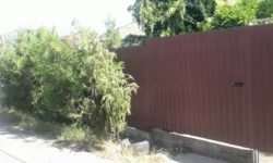 Продається будинок Прилиманская, Одеська фото 8 Продається будинок Прилиманская, Одеська фото 8