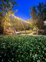 Продам будинок Великодолинське фото 23 Продам будинок Великодолинське фото 23