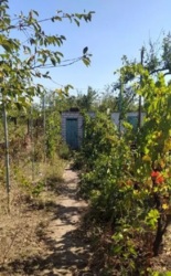 Будинок в дачному кооперативі с. Кошари. 8 000$ фото 12 Будинок в дачному кооперативі с. Кошари. 8 000$ фото 12