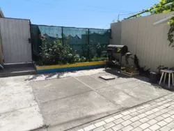 �������-���� ����������� ���� ���� 3