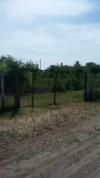 ��������� ������� ��������, 35, ������� ���� 1