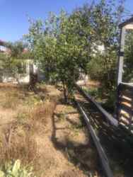 ������ �������� ��������� ���� 4