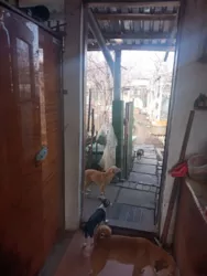 ������� � ���� � ������������� � �. �����! ���� 12