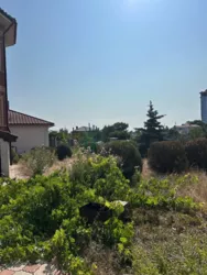 ����������� �� ������� ��������� ��������� �������� ������� � ��������-1 ���� 25