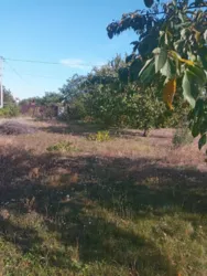 ������� � �. ����� �� '�������'! ���� 4