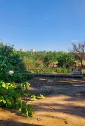 2-�� ���������� ������� � ����� ����������� ���������� � �. ��������! ���� 31