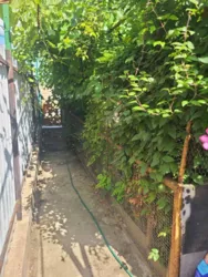 Продається будинок Молоджіна вул., 10, Олександрівка, Лиманський, Одеська фото 11 Продається будинок Молоджіна вул., 10, Олександрівка, Лиманський, Одеська фото 11