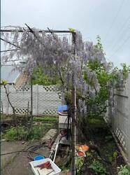 Продам в дбайливі руки власний двоповерховий будиночок площею 59,6 кВ.м. фото 5 Продам в дбайливі руки власний двоповерховий будиночок площею 59,6 кВ.м. фото 5