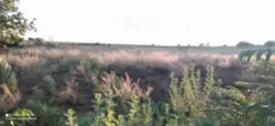 Продається будинок Победы, Кубанка, Лиманський, Одеська фото 6 Продається будинок Победы, Кубанка, Лиманський, Одеська фото 6